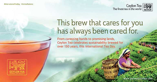 SLTB celebrates International Tea Day today